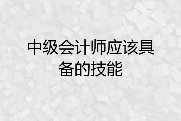 中级会计师应该具备的技能