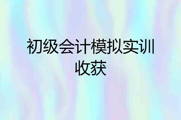 初级会计模拟实训收获