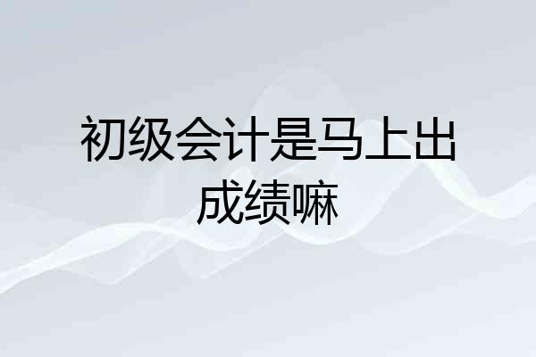 初级会计是马上出成绩嘛