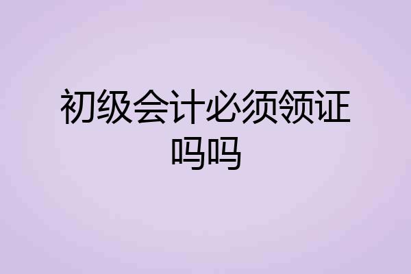 初级会计必须领证吗吗