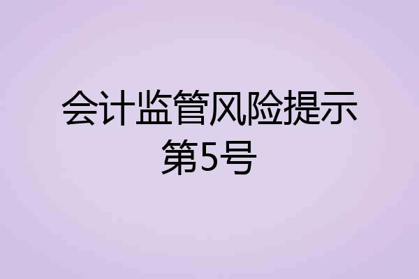 会计监管风险提示第5号