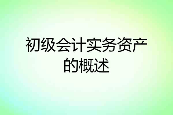 初级会计实务资产的概述