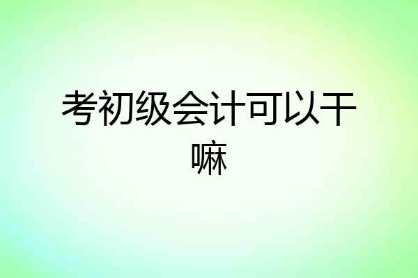 考初级会计可以干嘛