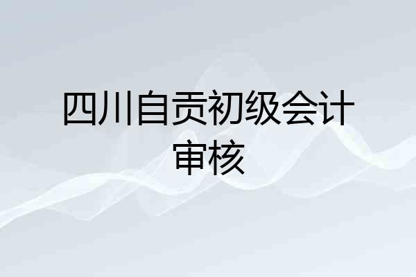 四川自贡初级会计审核