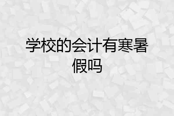 学校的会计有寒暑假吗