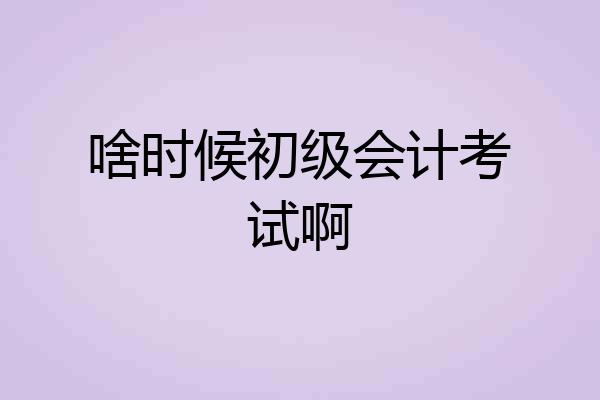 啥时候初级会计考试啊
