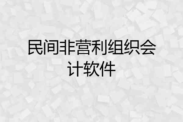 民间非营利组织会计软件