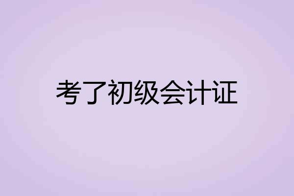 考了初级会计证