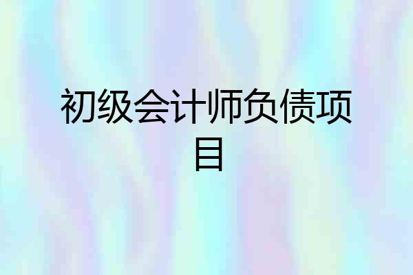 初级会计师负债项目