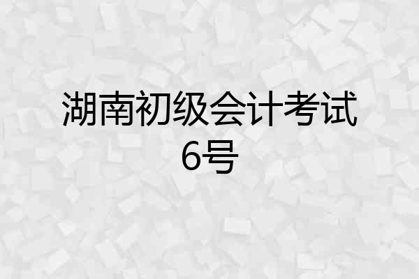 湖南初级会计考试6号