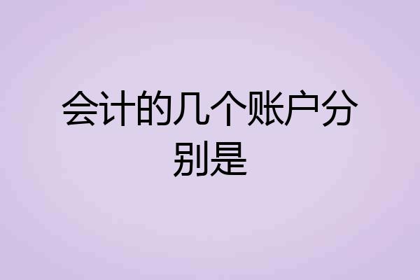 会计的几个账户分别是