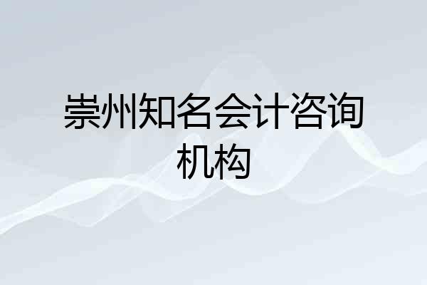 崇州知名会计咨询机构