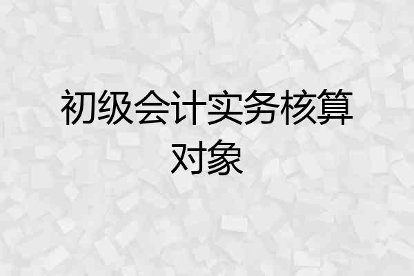 初级会计实务核算对象