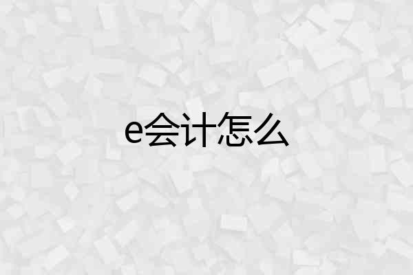 e会计怎么