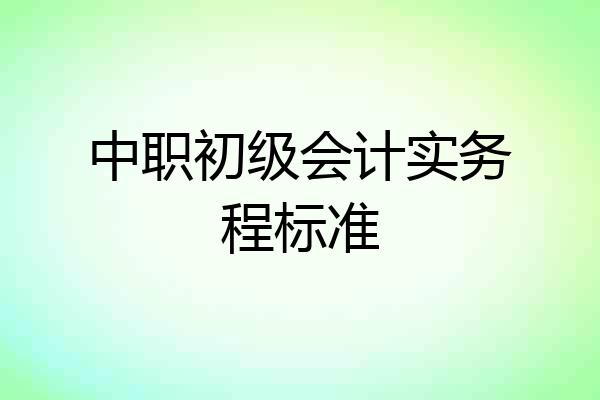 中职初级会计实务程标准