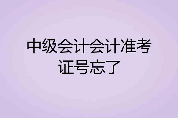 中级会计会计准考证号忘了