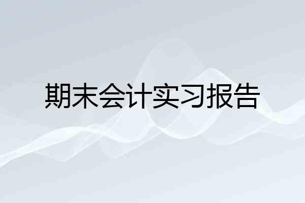 期末会计实习报告