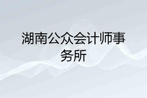 湖南公众会计师事务所