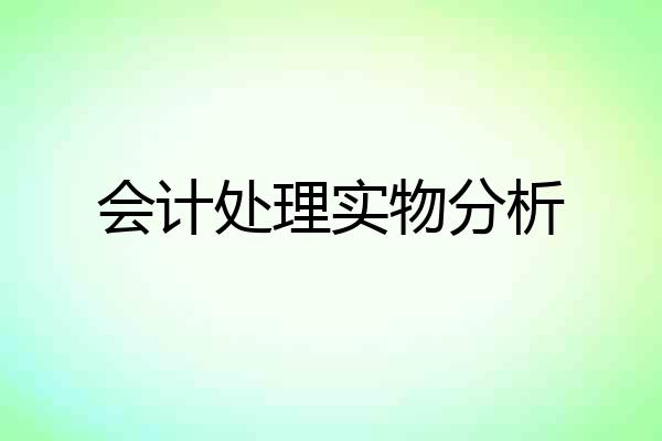 会计处理实物分析