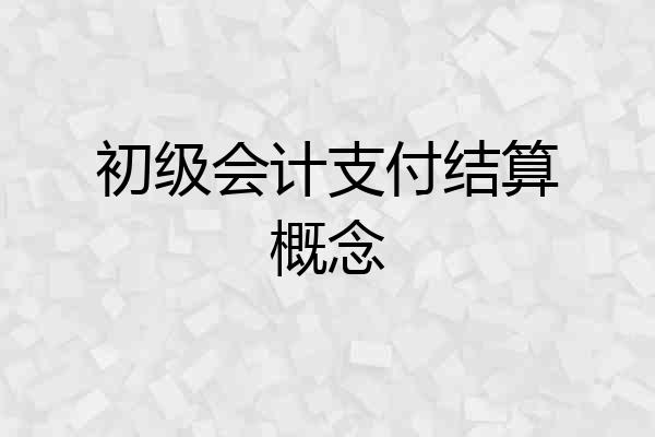 初级会计支付结算概念