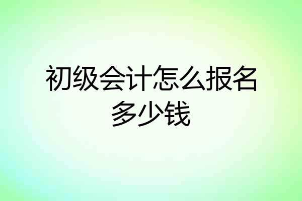 初级会计怎么报名多少钱