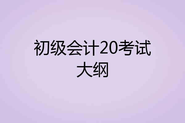初级会计20考试大纲