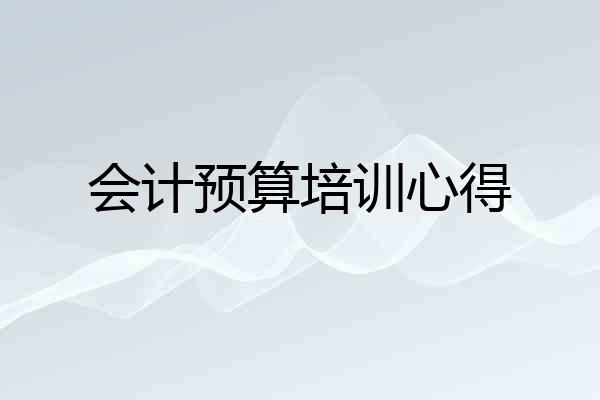 会计预算培训心得