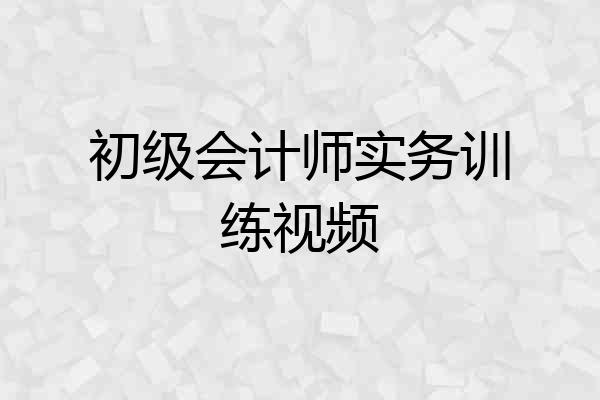 初级会计师实务训练视频
