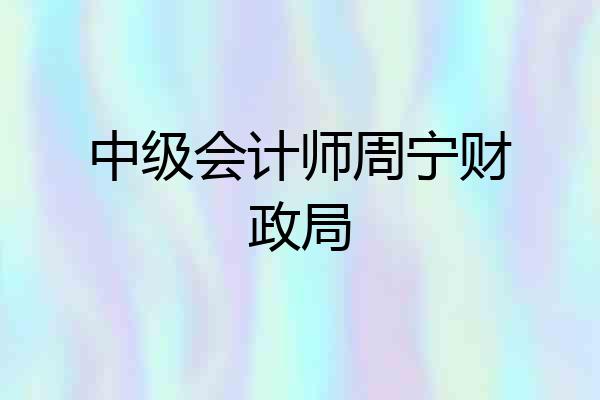 中级会计师周宁财政局