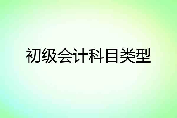 初级会计科目类型