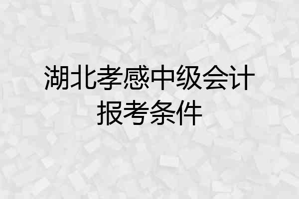 湖北孝感中级会计报考条件