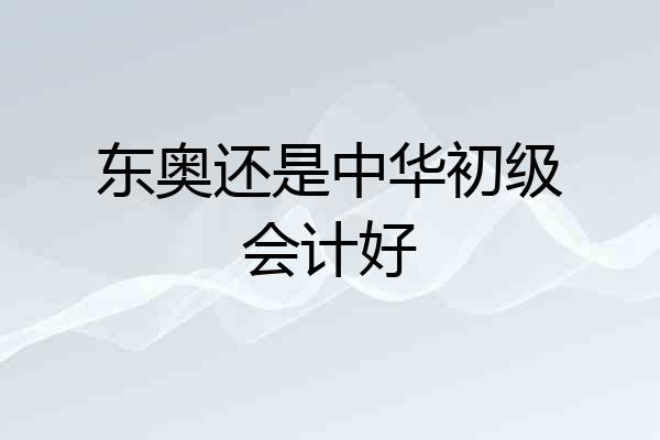 东奥还是中华初级会计好