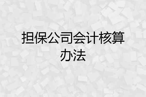担保公司会计核算办法