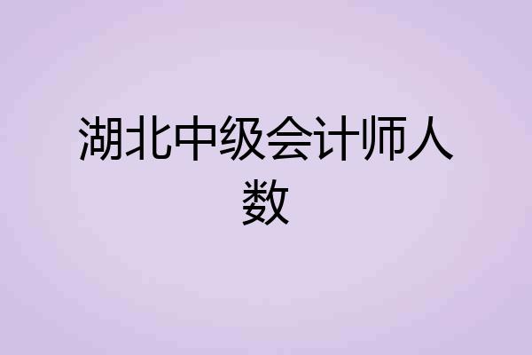 湖北中级会计师人数