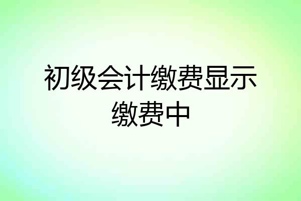 初级会计缴费显示缴费中