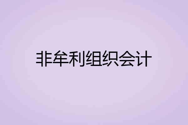 非牟利组织会计