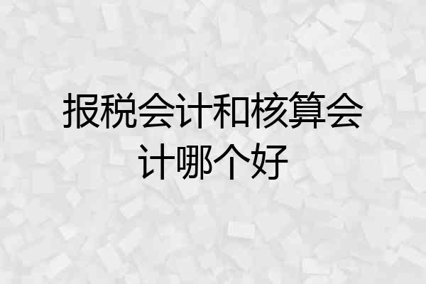 报税会计和核算会计哪个好