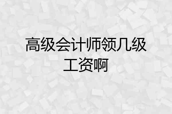 高级会计师领几级工资啊