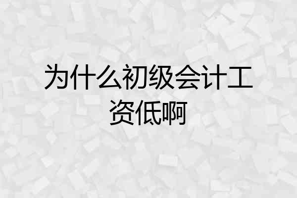 为什么初级会计工资低啊