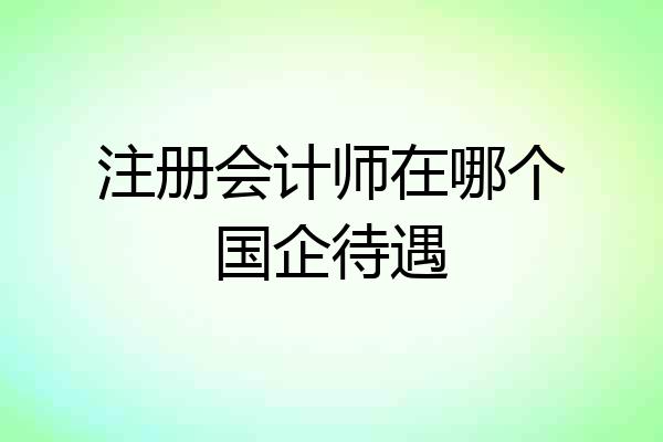 注册会计师在哪个国企待遇