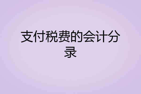 支付税费的会计分录