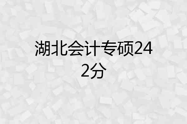 湖北会计专硕242分