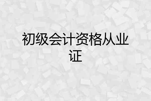 初级会计资格从业证