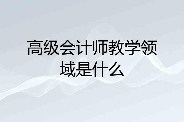 高级会计师教学领域是什么