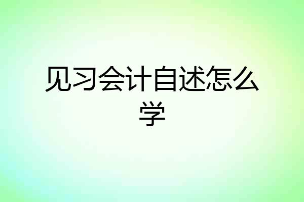 见习会计自述怎么学