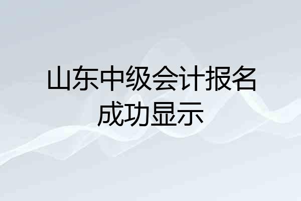 山东中级会计报名成功显示