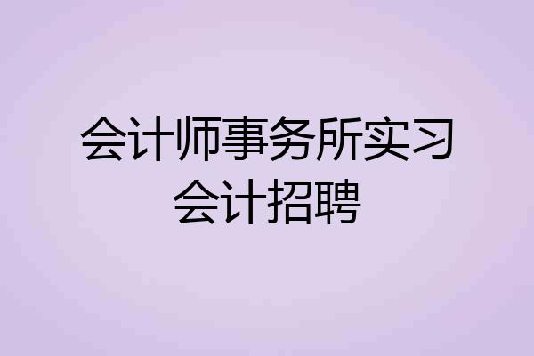 会计师事务所实习会计招聘