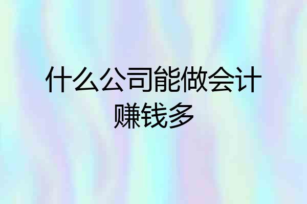 什么公司能做会计赚钱多