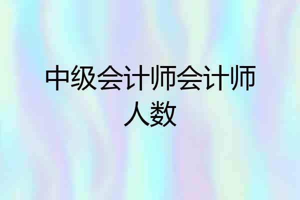 中级会计师会计师人数