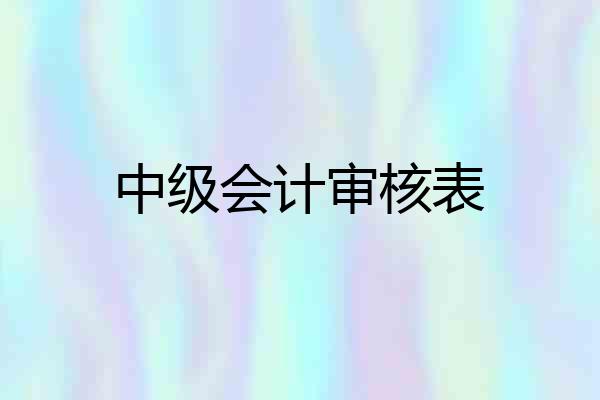 中级会计审核表